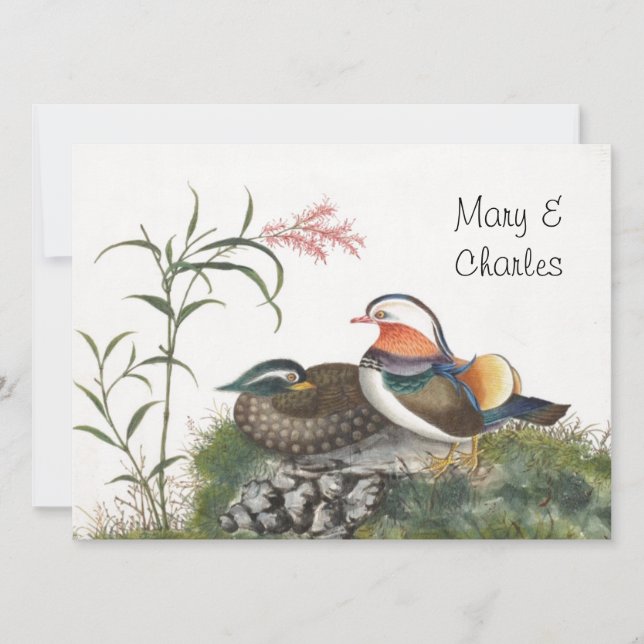 Mandarin Anka kinesisk målning (Framsida)