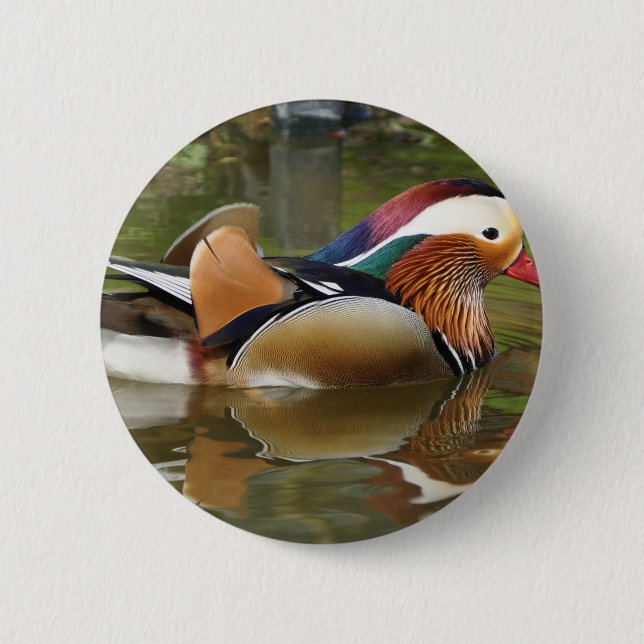 mandarin anka knapp (Framsida)