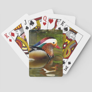 Mandarin Anka Kortlek
