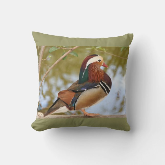 Mandarin Anka Kudde (Framsida)