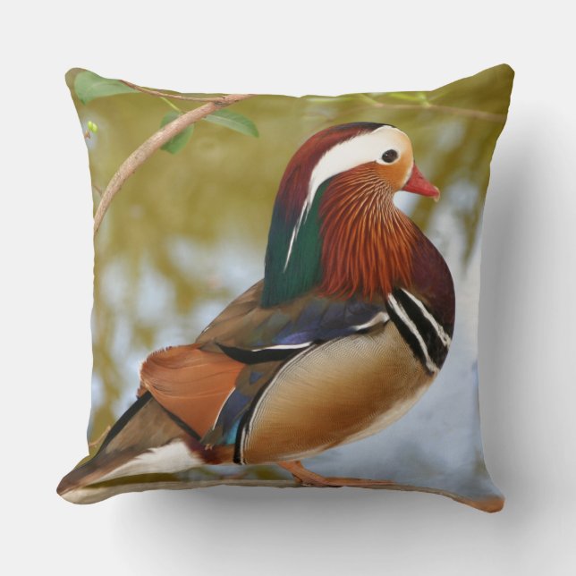 Mandarin Anka Kudde (Framsida)