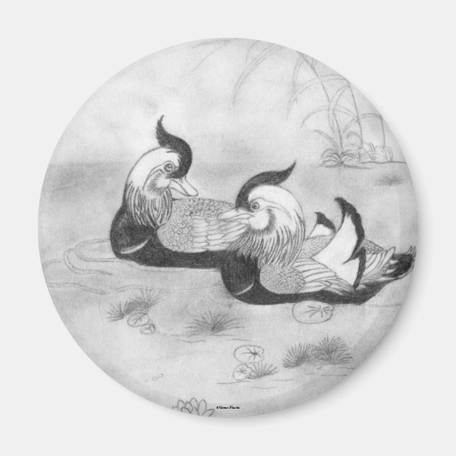 Mandarin Anka Magnet (Framsidan)