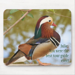 Mandarin Anka Musmatta