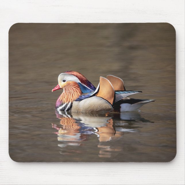 Mandarin Anka Musmatta (Framsidan)