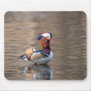 Mandarin Anka Musmatta