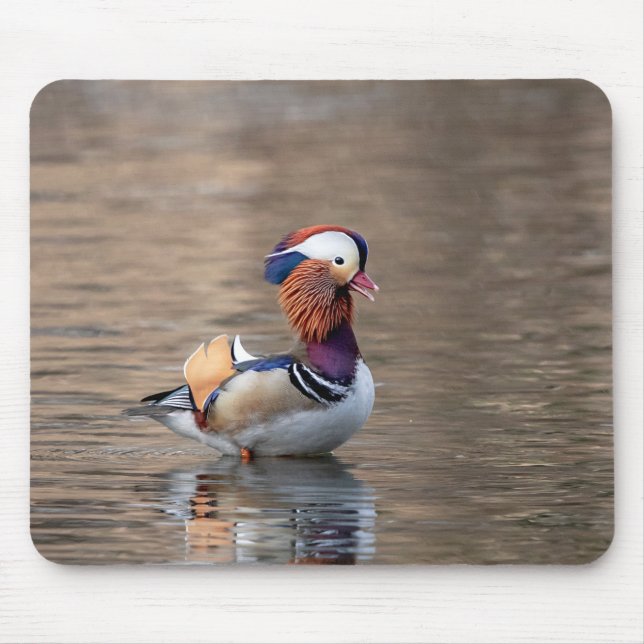 Mandarin Anka Musmatta (Framsidan)