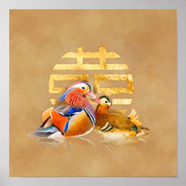 Mandarin Anka och Dubbla Happity Symbol Poster (Framsidan)
