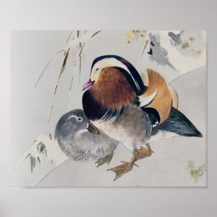 Mandarin Anka par, Watanabe Seitei Poster