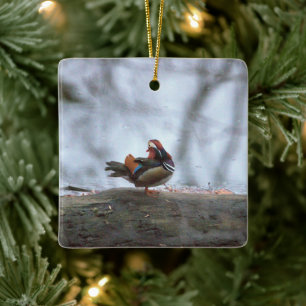 Mandarin Anka Photo Ceramic Ornament