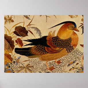 Mandarin Anka Poster