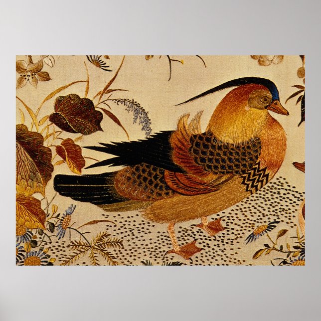 Mandarin Anka Poster (Framsidan)