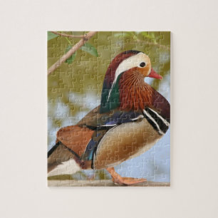 Mandarin Anka Pussel