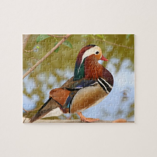 Mandarin anka pussel (Horisontell)