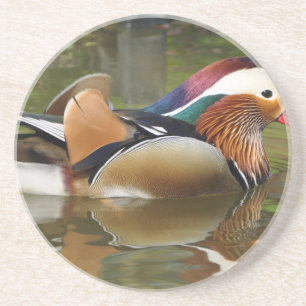 mandarin anka underlägg sandsten