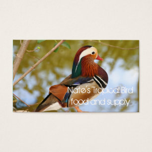 Mandarin Anka Visitkort