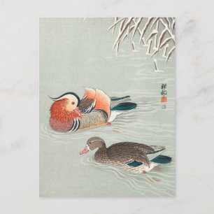 Mandarin Ankor Painting by Ohara Koson Vykort