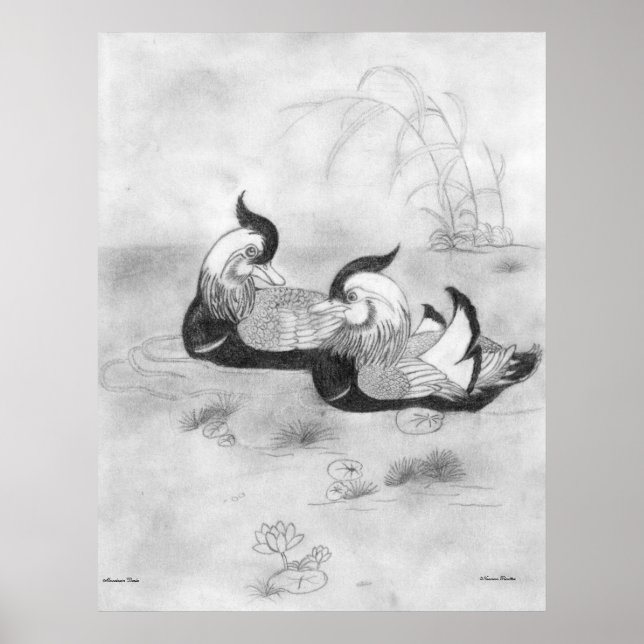 Mandarin Ankor Poster (Framsidan)