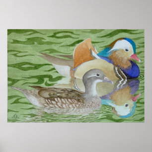 Mandarin Ankor vid sjö Poster