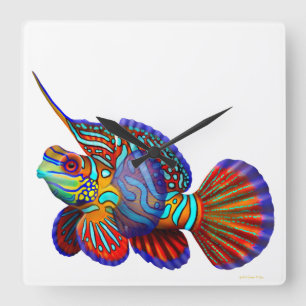 Mandarin Dragonet Goby Fish Wall Clock Fyrkantig Klocka