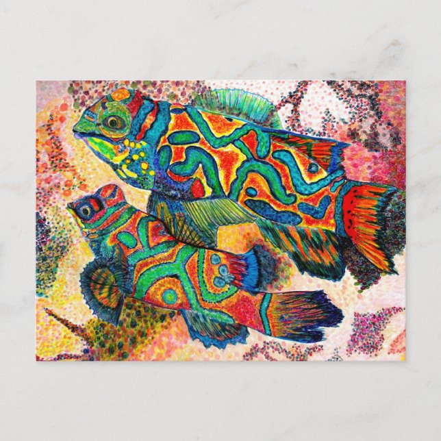 Mandarin Fish Art Vykort (Framsida)