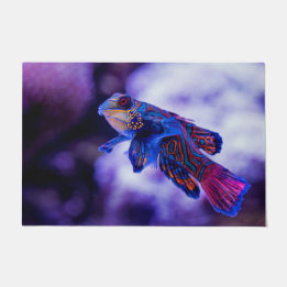 Mandarin Goby Fish