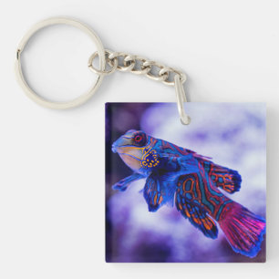 Mandarin Goby Fish