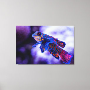 Mandarin Goby Fish Canvastryck