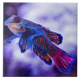 Mandarin Goby Fish Ceramic Tile Kakelplatta