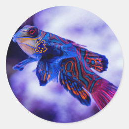 Mandarin Goby Fish Runt Klistermärke
