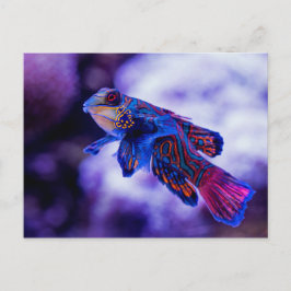 Mandarin Goby Fish Vykort