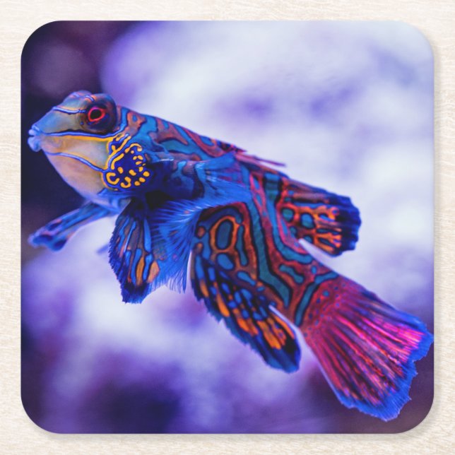 Mandarin Goby Fisk Underlägg Papper Kvadrat (Framsidan)