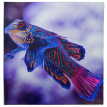 Mandarin Goby Fiskduk