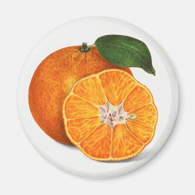 Mandarin Magnet (Framsidan)