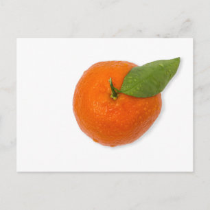 Mandarin med grön blad vykort