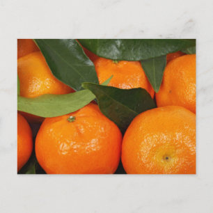 Mandarin-Orangar Vykort