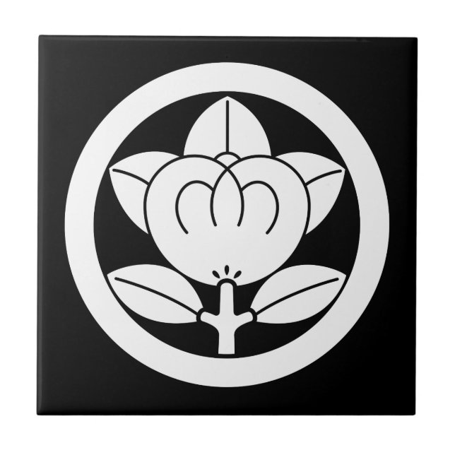 Mandarin-orange i en cirkelruta av keramiskt mater kakelplatta (Framsidan)