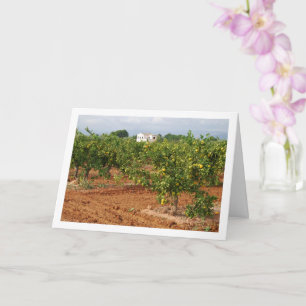 Mandarin Orchard, Llira, Spanska staden, Valencia Kort