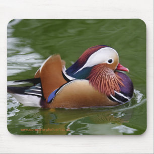 Mandarinanka Mousemat Musmatta