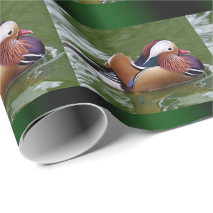 Mandarinanka som slår in papper presentpapper