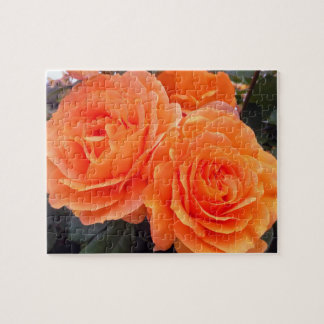 Mandarinrosor, Pussel, 20 x 25 cm, 110 bitar Pussel