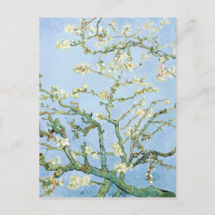 Mandelblomningar av Van Gogh Vykort