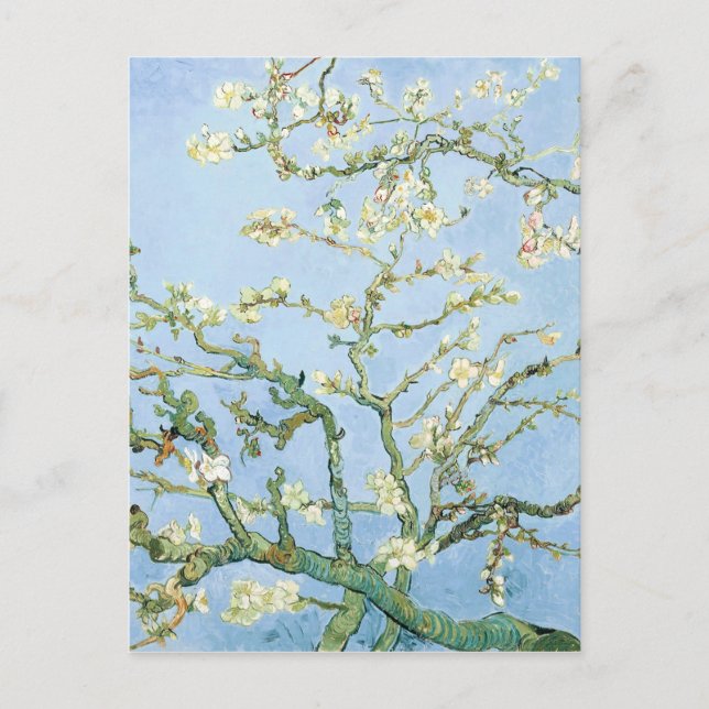 Mandelblomningar av Van Gogh Vykort (Framsida)