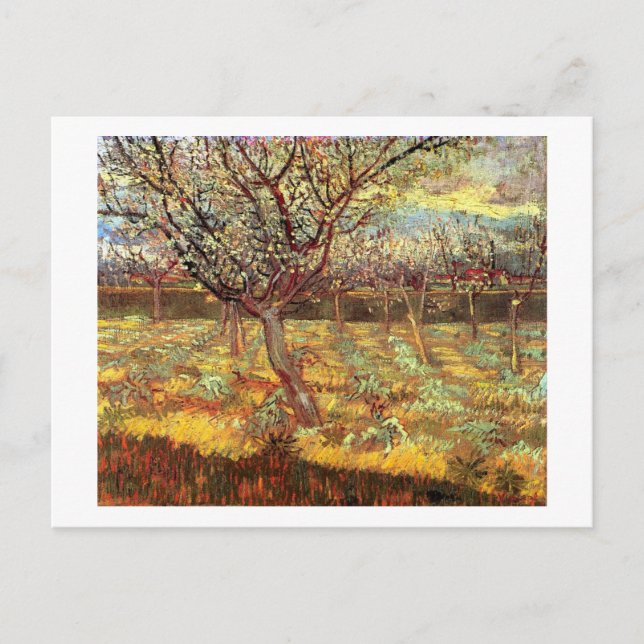 Mandelträd i blomning av Van Gogh Vykort (Framsida)