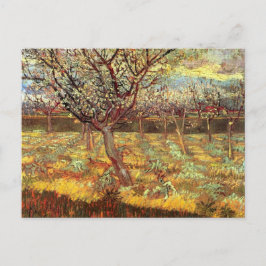 Mandelträd i blomning av Van Gogh Vykort