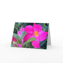Mandevilla Blank Note-kort