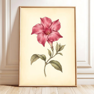 Mandevilla Vintage Botanisk Canvas Konst Poster