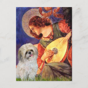 Mandolin Angel - Shih Tzu (P) Vykort