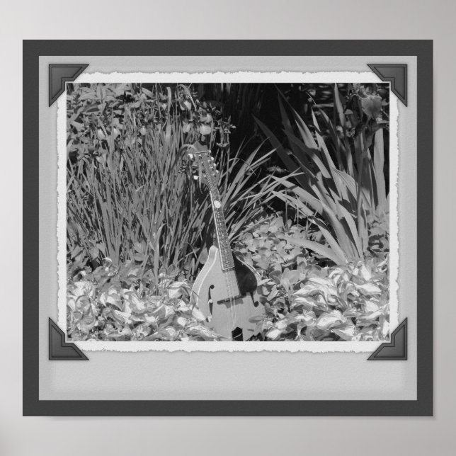 Mandolin Iris Garden Black and White Snapshot Poster (Framsidan)