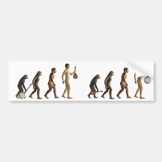 Mandolution Bildekal (Framsidan)