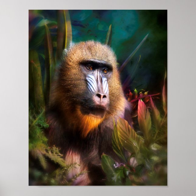 Mandril Baboon MASK IN THE JUNGLE Poster (Framsidan)